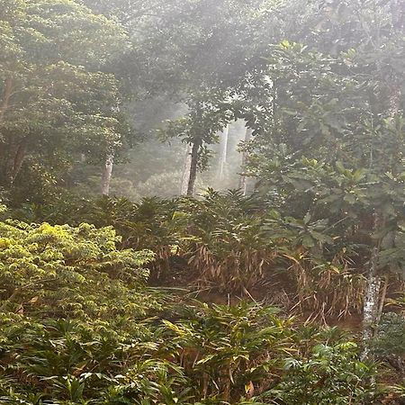 Falling Waters Munnar Exterior photo
